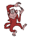 monkeymagic